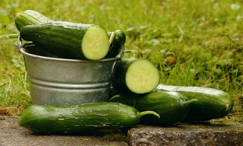 Komkommertijd is zomertijd, komkommer met emmer